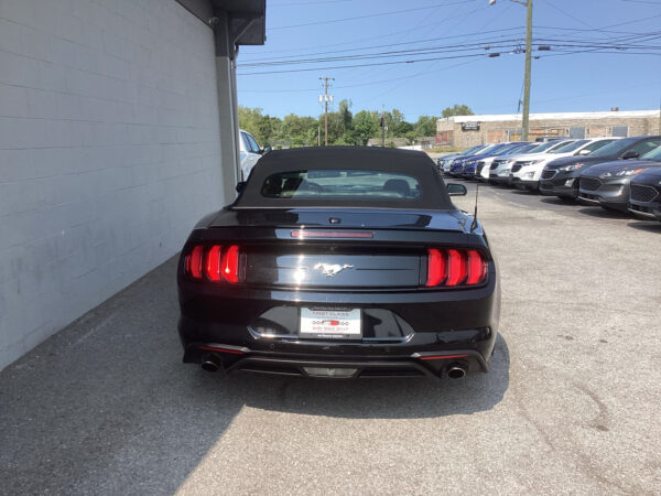 2022 Ford Mustang 2dr Conv EcoBoost Premium - Image 4